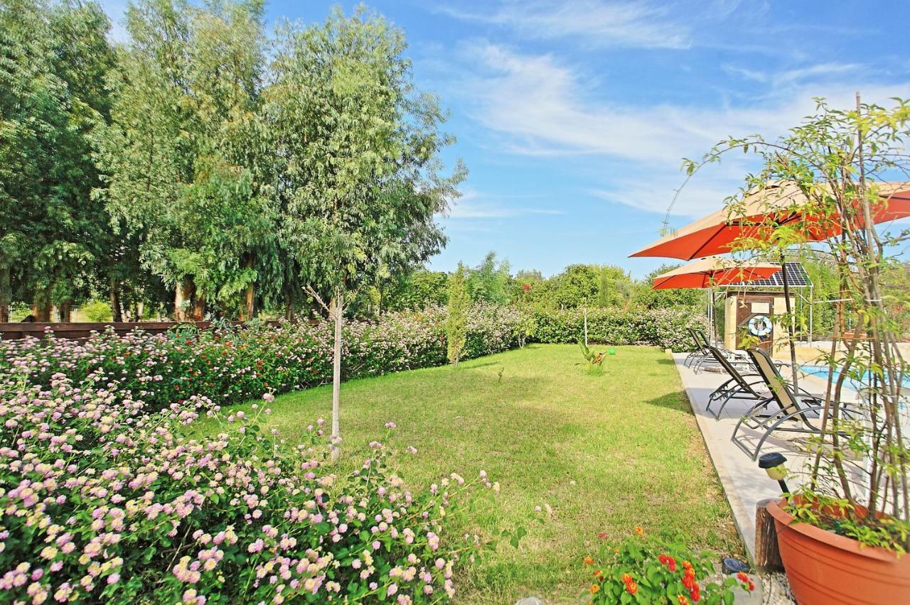 Villa Georgios Rafaela Полис Экстерьер фото